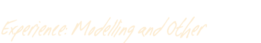 Experience: Modelling and Other