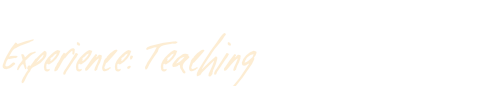 Experience: Teaching